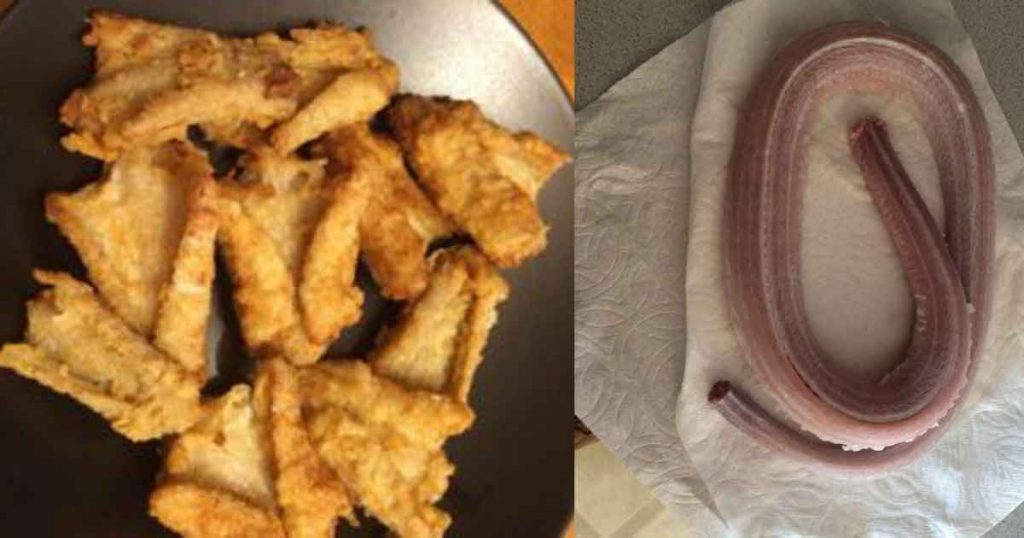 southern fried rattlesnake