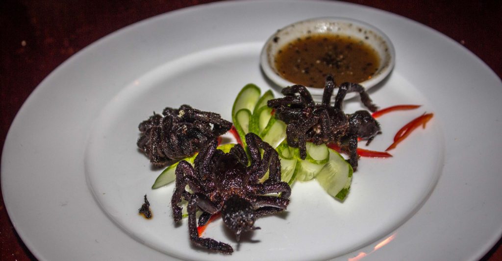 crispy tarantula eaten in cambodia