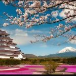 blossom-trees-monastry-japan-min