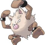 primeape.jpg