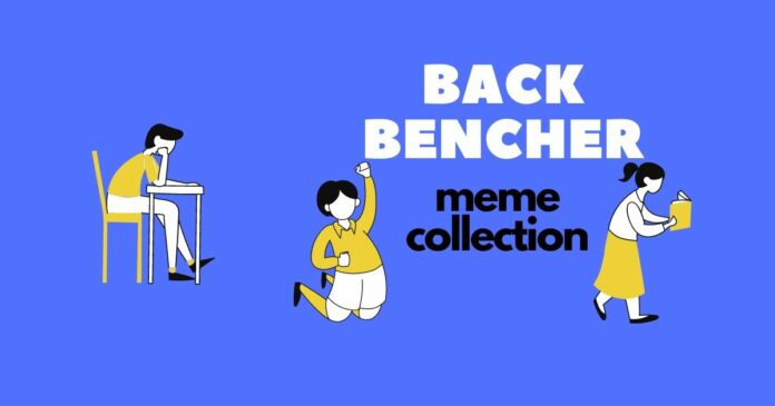 backbencher meme collection