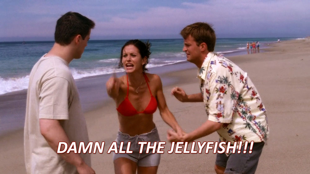 monica damns all jellyfish after she was stung by one