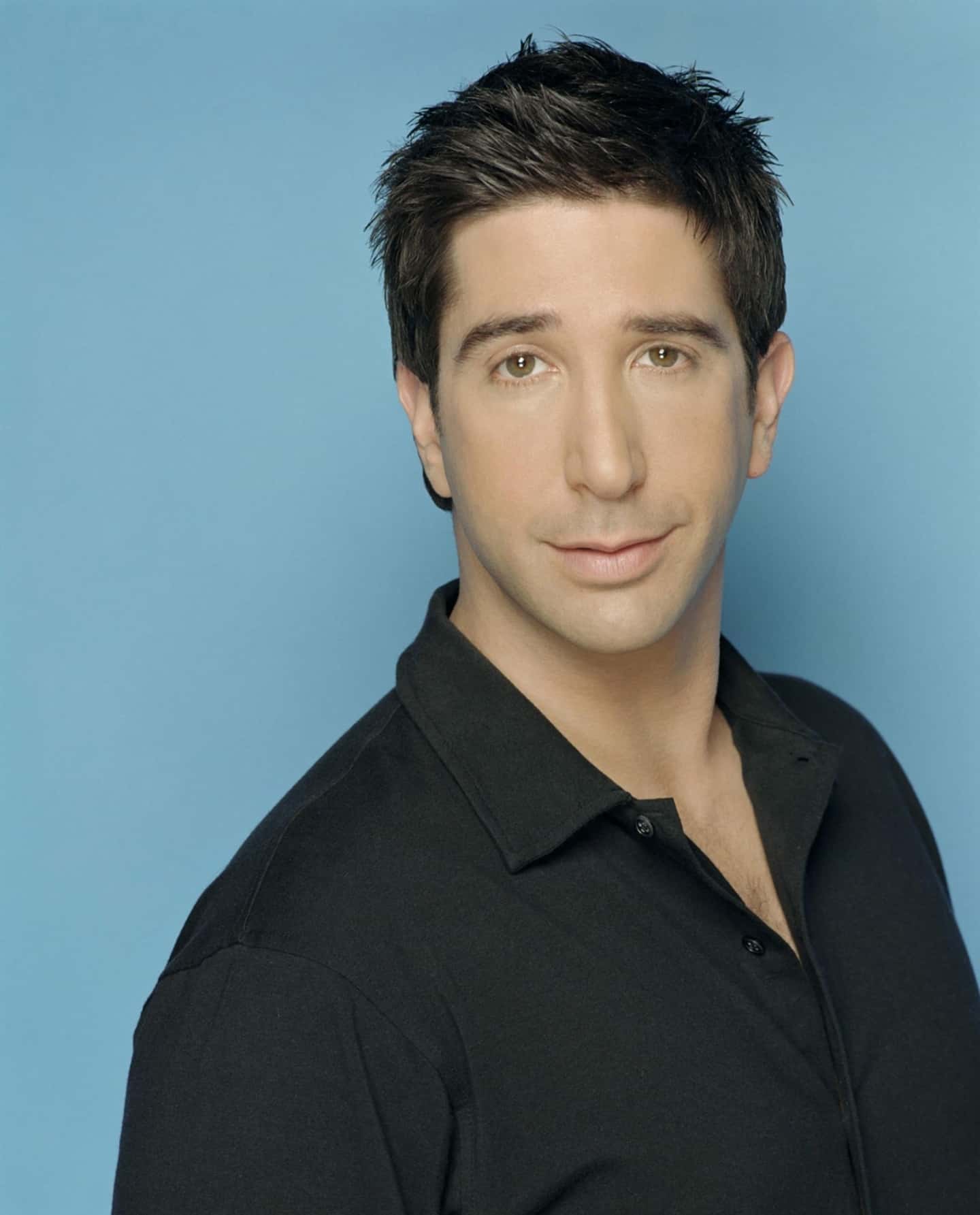 young photo of david schwimmer or ross geller