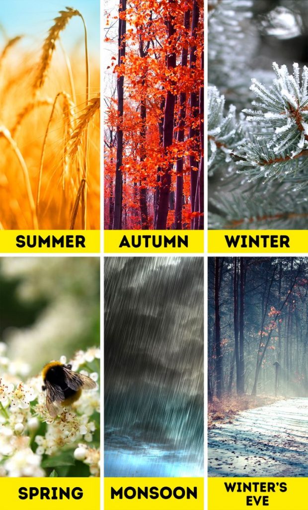 15 Things That Can Only Happen In India