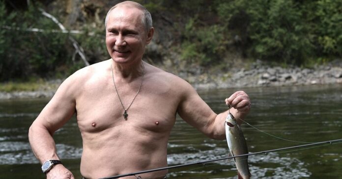 vladimir putin Nett worth