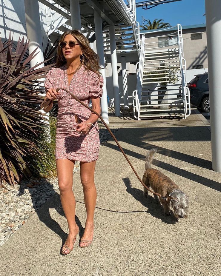 aniston-dog-to-work-day