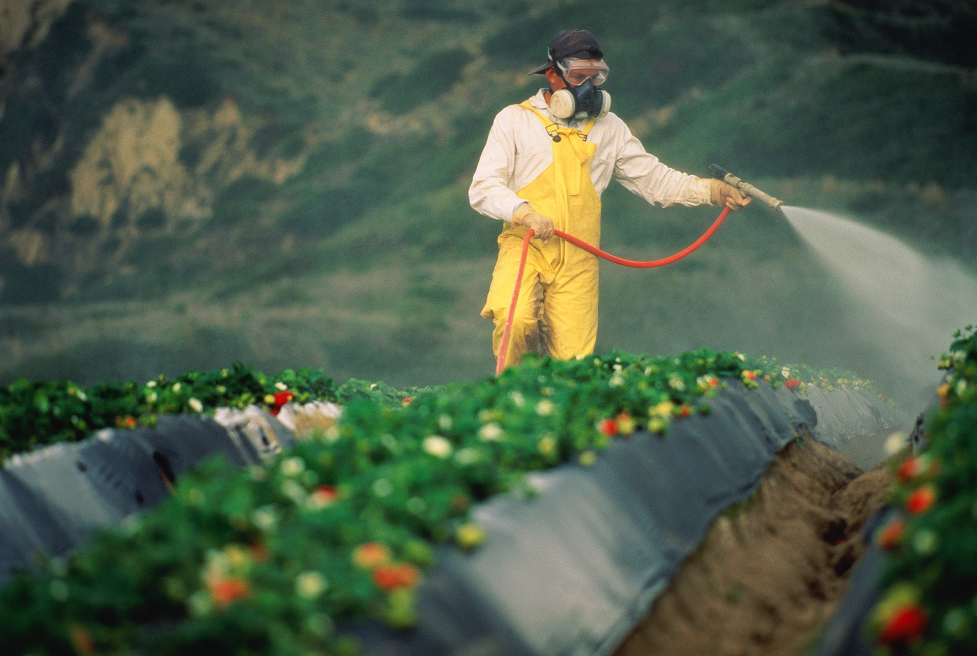 Pesticides banned in some countries