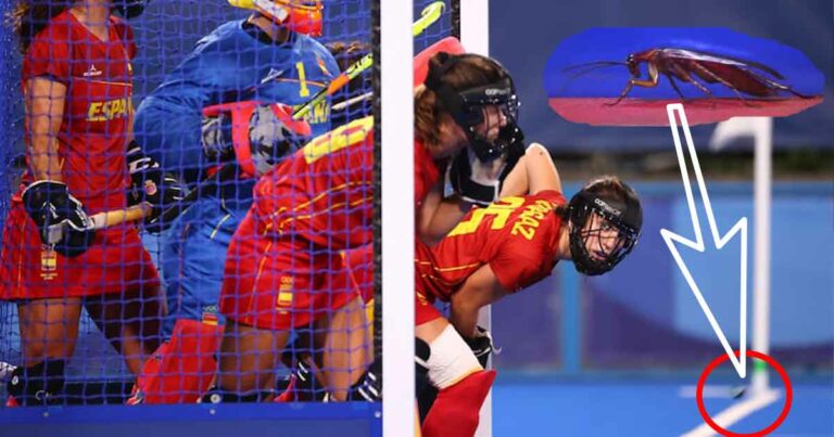 A Cockroach Made Its Way To The Olympics! Twitter Lost All Calm