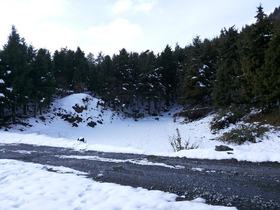 deoban Chakrata Hill Station