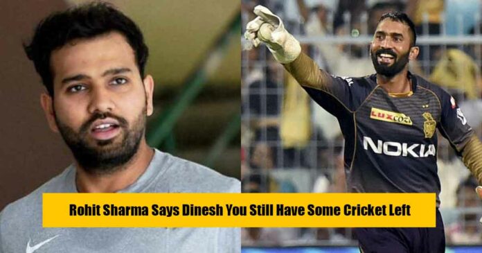 dinesh-rohit-cricket