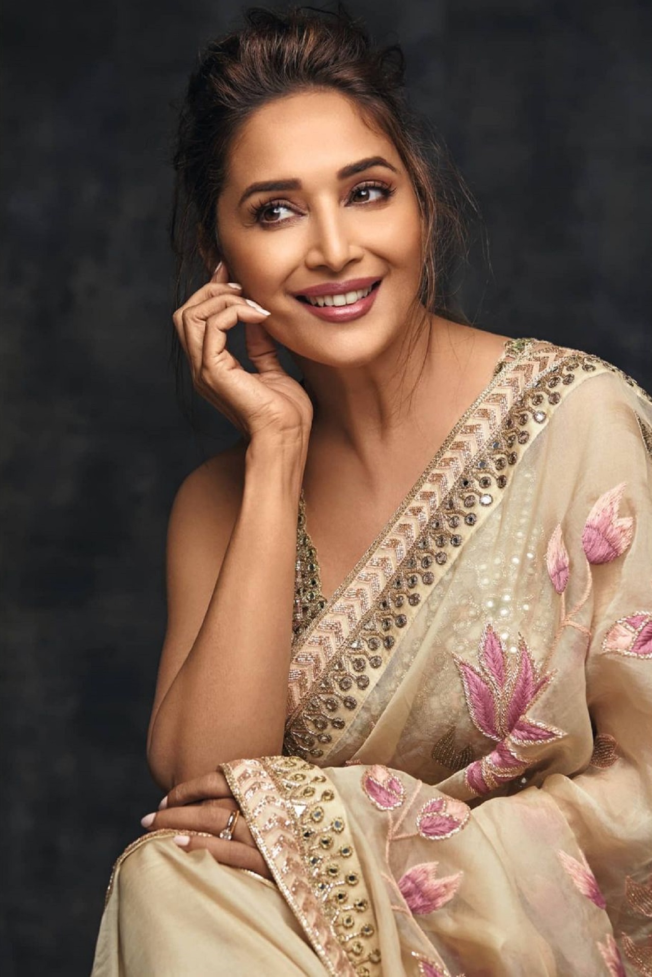 madhuri dixit saree pose 