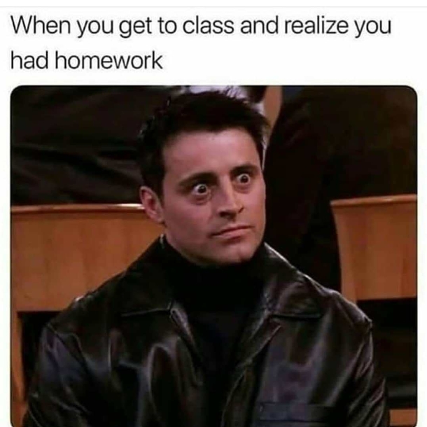 School homework meme