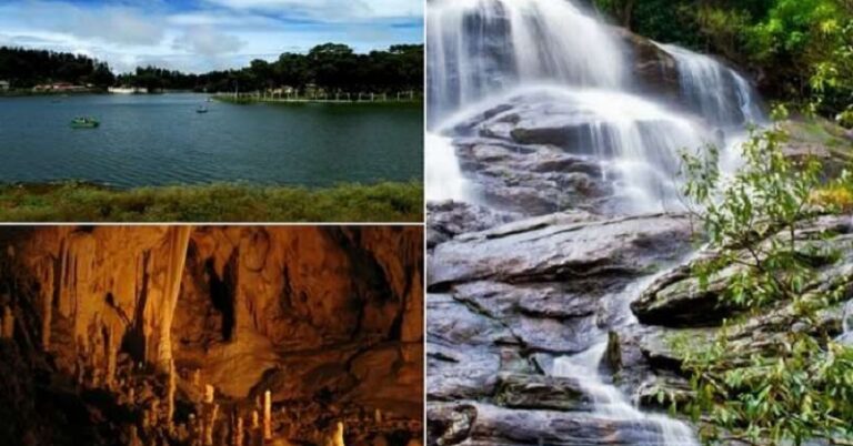 Complete Travel Guide To Yercaud, The Hill Station Township In Tamil Nadu