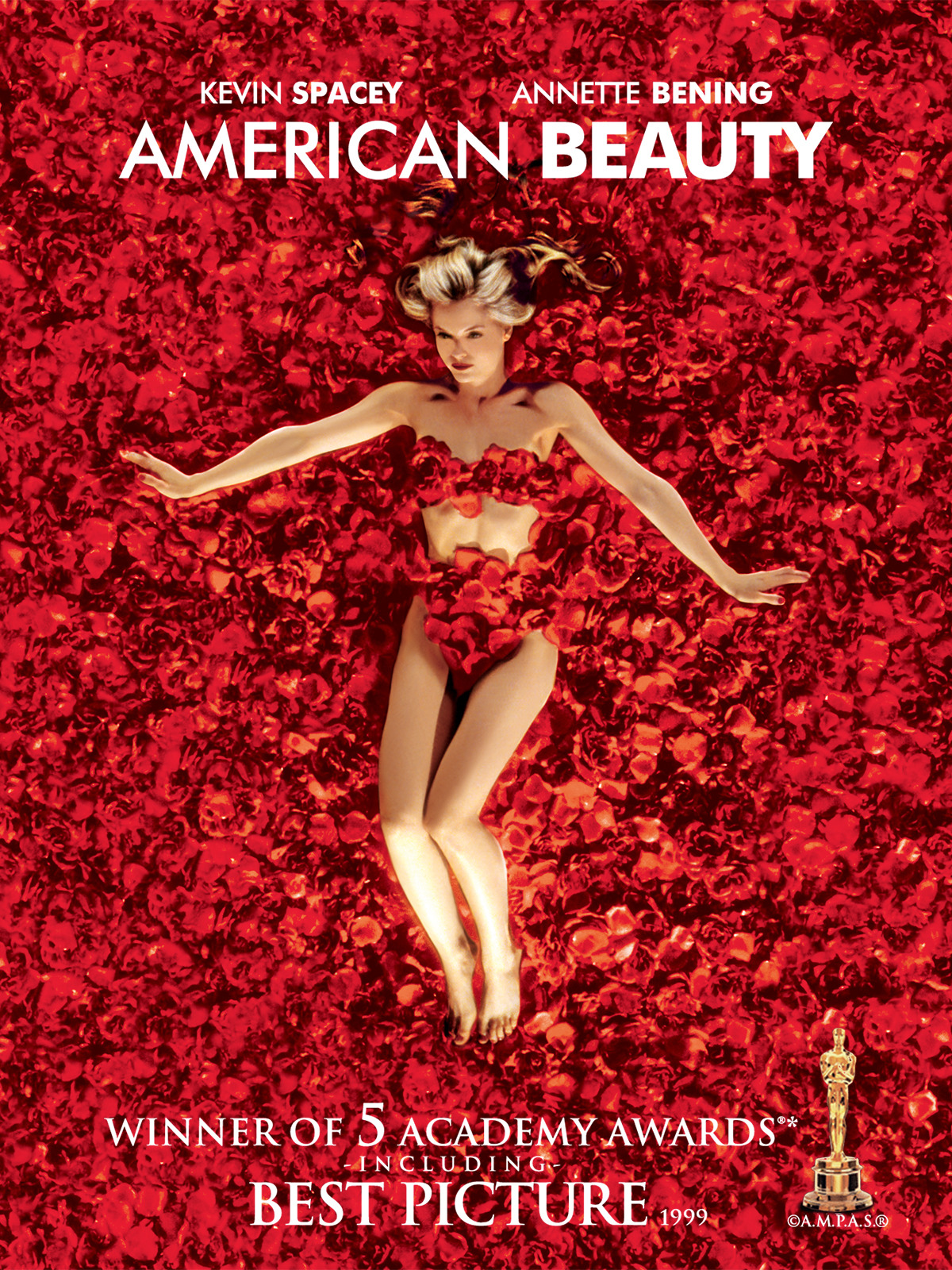 american beauty dubbed in hindi