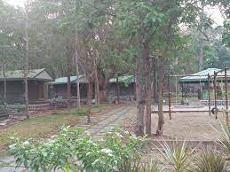 bairluty jungle camp