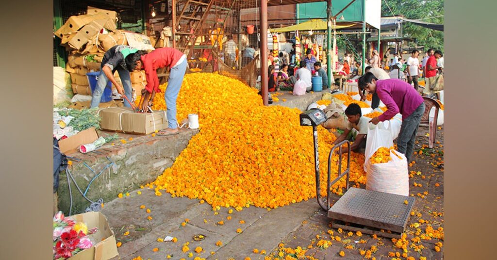 ghazipur flower wholesale market in delhi