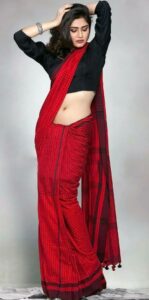 Elegant sari poses