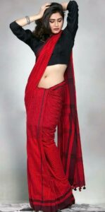 Elegant Saree poses