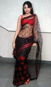 Transparent saree poses