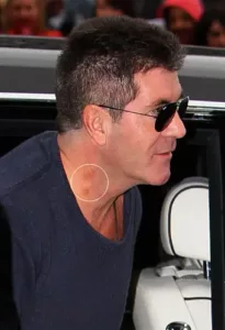 simon cowell hickey