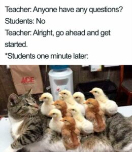 funny memes on what students do when teacher asks if they have any question