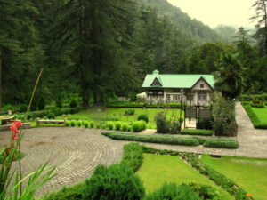 annandale shimla