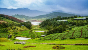 Ooty