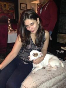 bebo's fav dog elvis