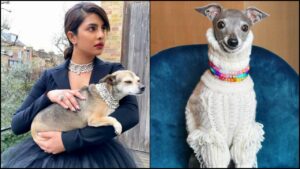 Priyanka's Diana indian dog names
