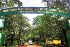 Bhagwan Mahaveer Wildlife Sanctuary in south goa