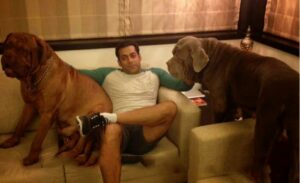 salman's pet dogs