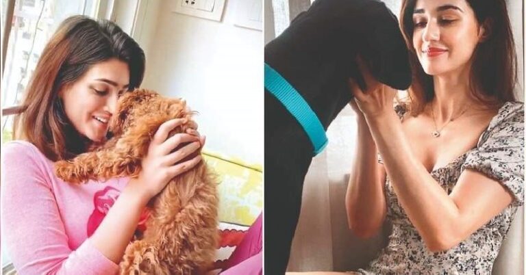 Bollywood Stars Inspired Indian Dog Names For Males & Females List