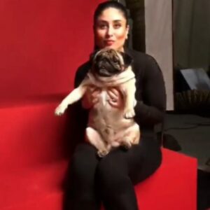 indian dog name male leo, bebo's dog