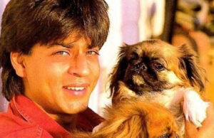 srk's dog dash