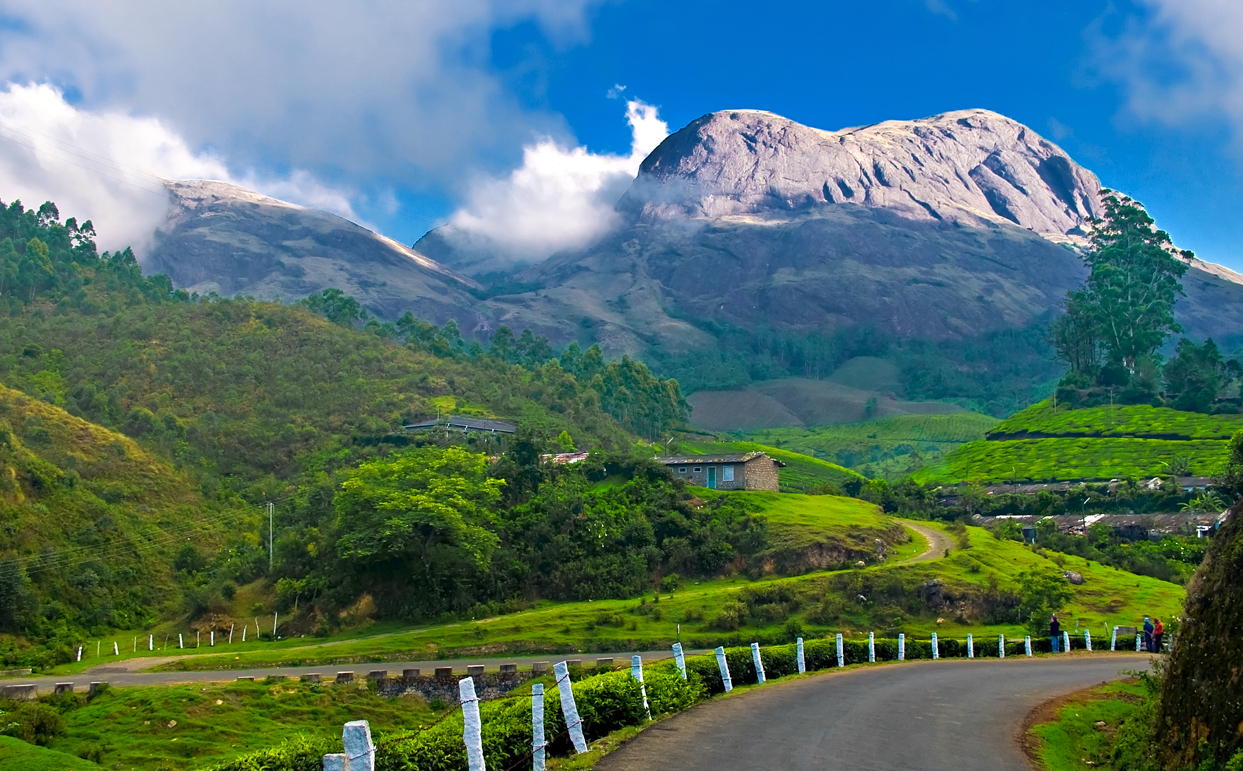 Munnar is one of the best tourist places in kerala