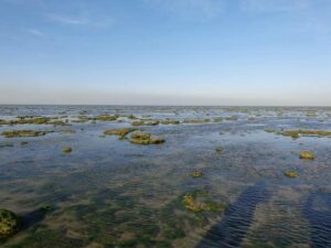 Narara Marine National Park