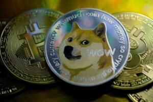 DOGE COIN