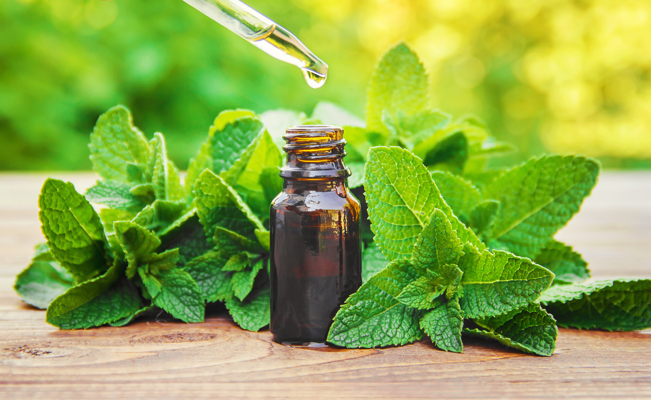 Peppermint is the home remedies to cure dry cough