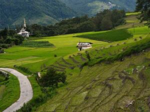 ziro valley is one of the best places in india to visit