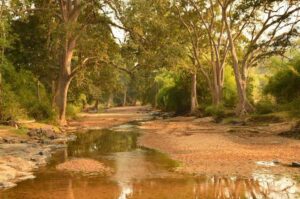 Tikarpada Wildlife Sanctuary