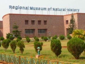 Regional Museum of Natural History