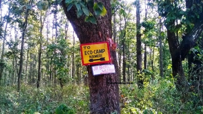 Bogijuli Camp - Nameri Forest Reserve is one of the haunted places of Assam