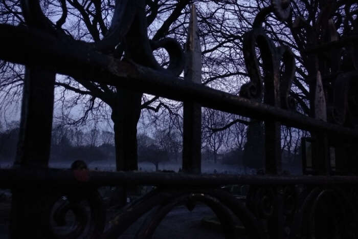 The Haunted Tree is haunted place in kashmir