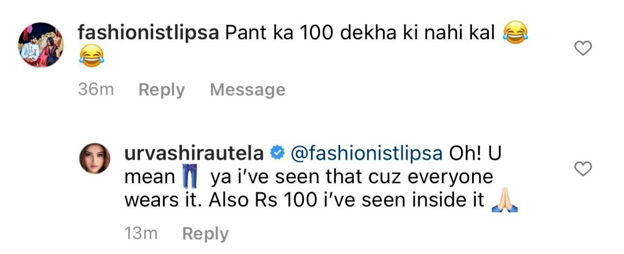 Urvashi Rautela reply to a troll