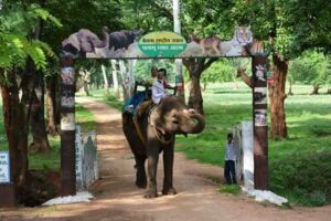 Betla National Park