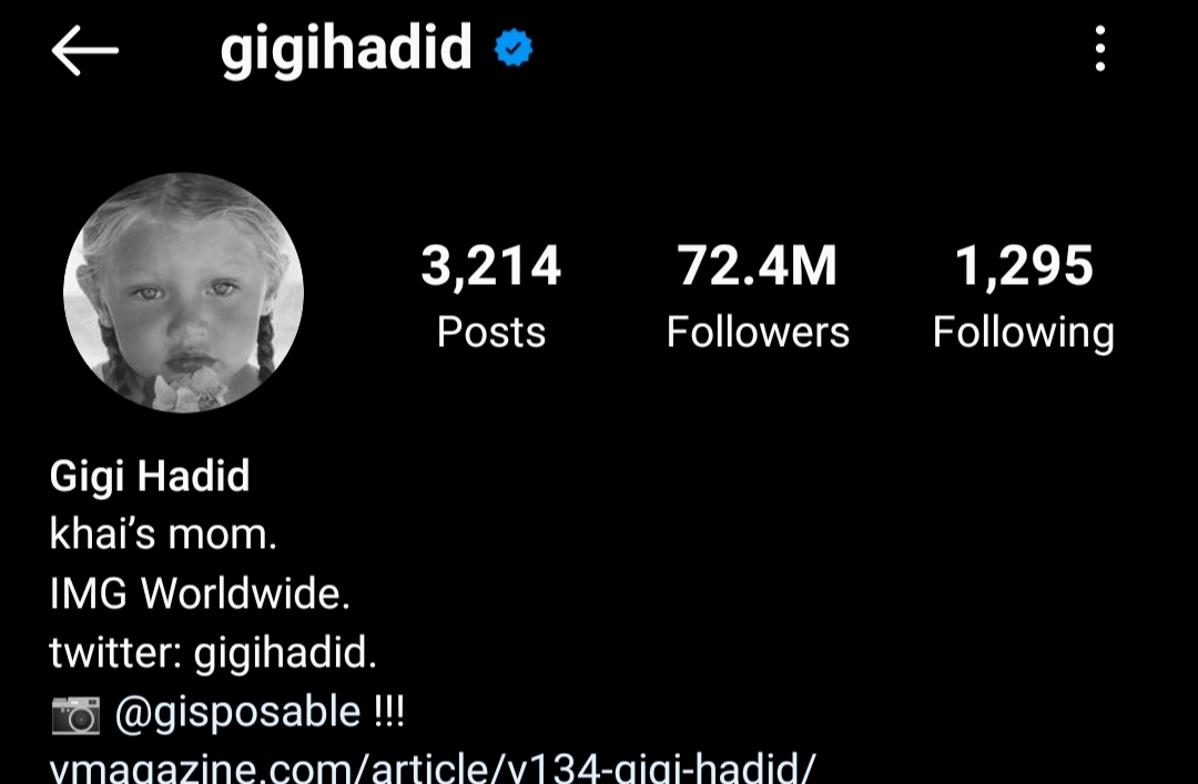 the beautiful gigi hadid instagram account