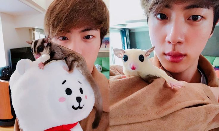Jin's exotic pets