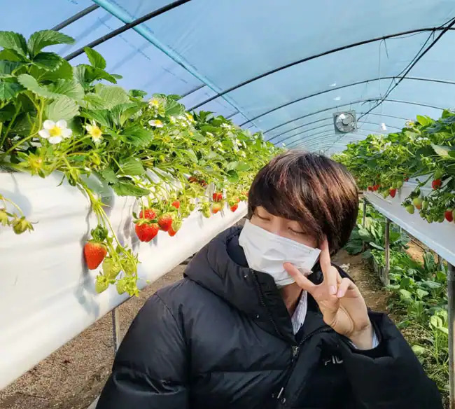 Bts member jin in strawberry farm