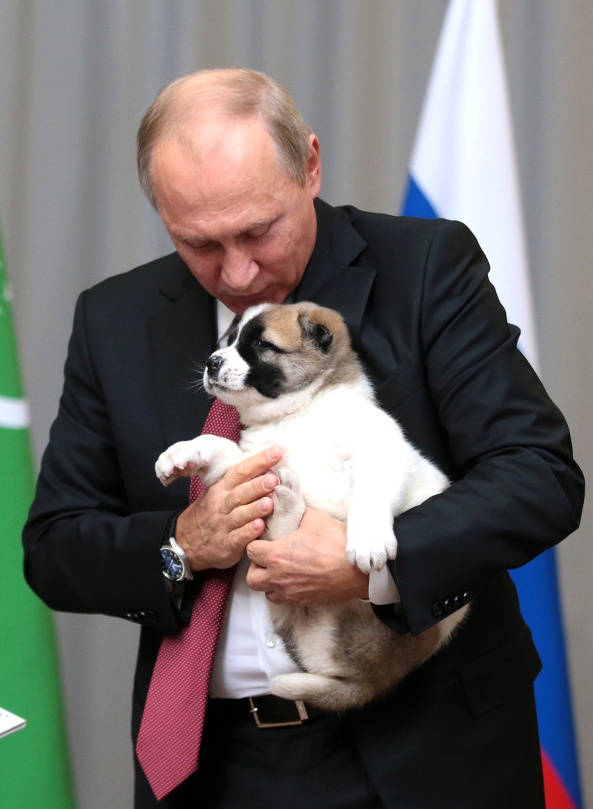 Putin animal lover
