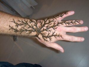 Tree Design Mehndi